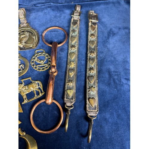 385 - A collection of antique horse brasses and leather straps, together with a copper horse bit.