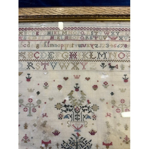 59 - A framed antique tapestry Sampler by Mary Savadge, born in 1771, work undertaken 1783.