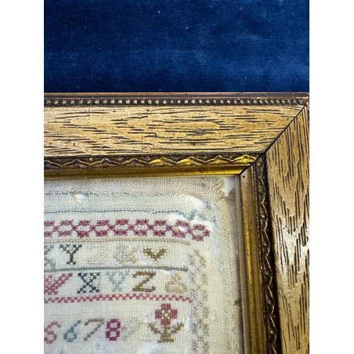 59 - A framed antique tapestry Sampler by Mary Savadge, born in 1771, work undertaken 1783.