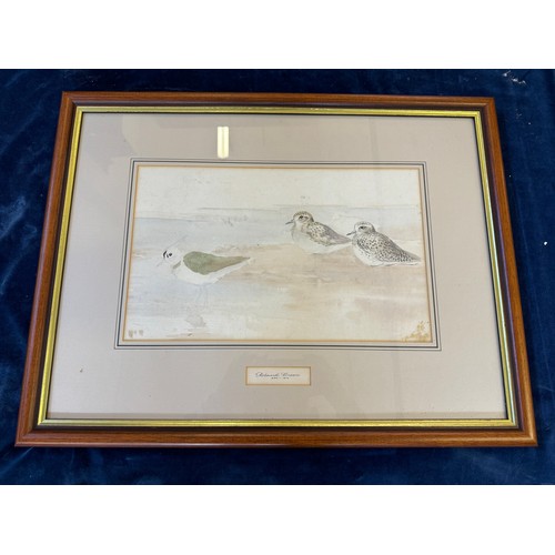 70 - A framed watercolour by Roland Green depicting birds.