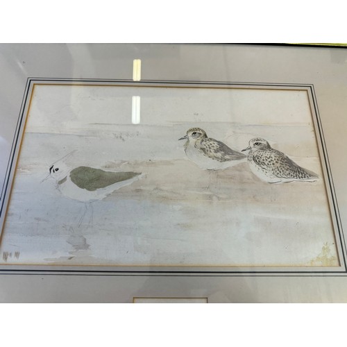 70 - A framed watercolour by Roland Green depicting birds.