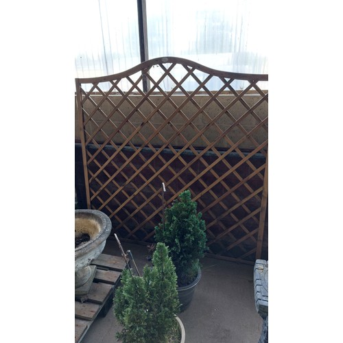 60 - TRELLIS PANEL WITH CURVED TOP (180CM X 180CM)