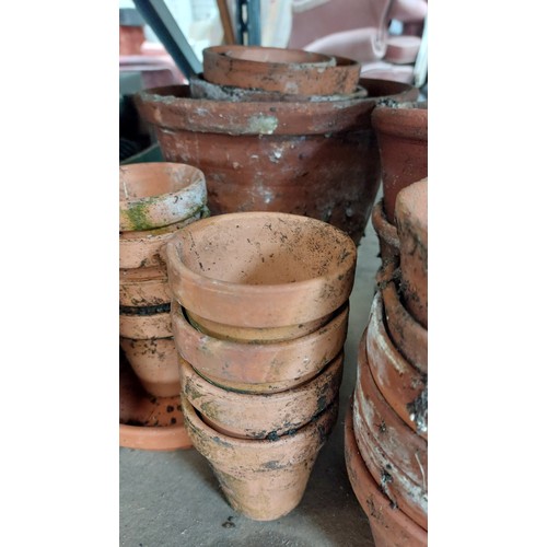 240 - QUANTITY OF TERRACOTTA PLANT POTS