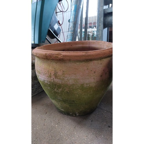 290 - PAIR OF TERRACOTTA POTS