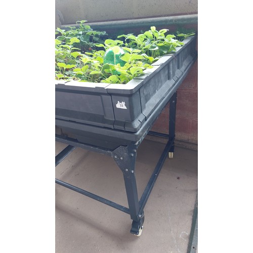 33 - PORTABLE PLASTIC STRAWBERRY PLANTER WITH STRAWBERRY PLANTS - HIGHT 92CM, WIDTH 98CM, LENGTH 98CM