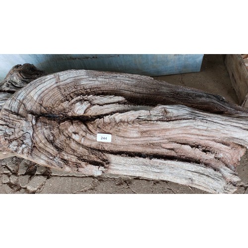 244 - ORNAMENTAL LOG. APPROX. LENGTH 110CM