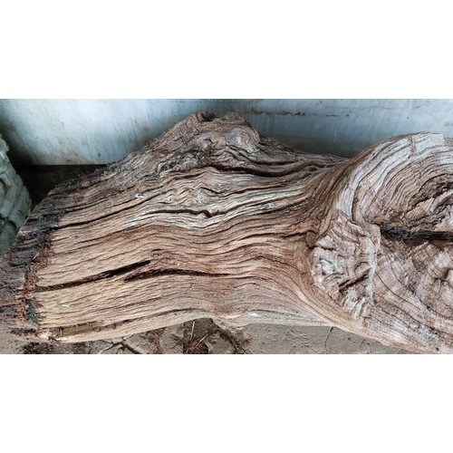 244 - ORNAMENTAL LOG. APPROX. LENGTH 110CM