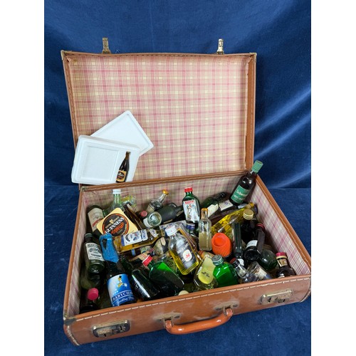 387 - A small suitcase containing a quantity of alcoholic miniatures, including; drambuie, martini, schwep... 