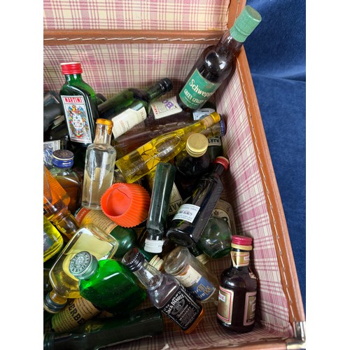 387 - A small suitcase containing a quantity of alcoholic miniatures, including; drambuie, martini, schwep... 