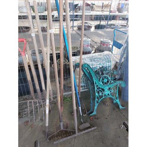 6259 - Six garden tools including rakes and hoes.