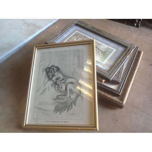 246 - Various old framed prints including a Louis Wain pencil sketch of reclining dachshund,'Don't Disturb... 