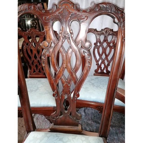 64 - A set of six Chippendale style good quality dining chairs, including two carvers, plain blue upholst... 