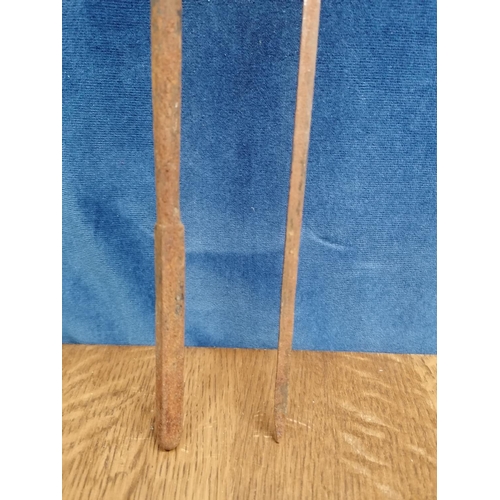 258 - An antique heavy iron fire poker with brass handle, 83cm and a long skewer with brass terminal