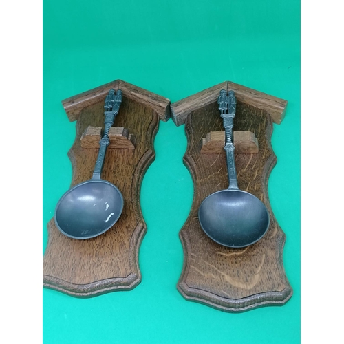 255 - A pair of pewter spoons mounted on oak plaques
