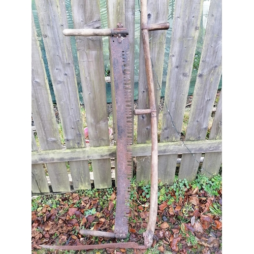 Lot 165       