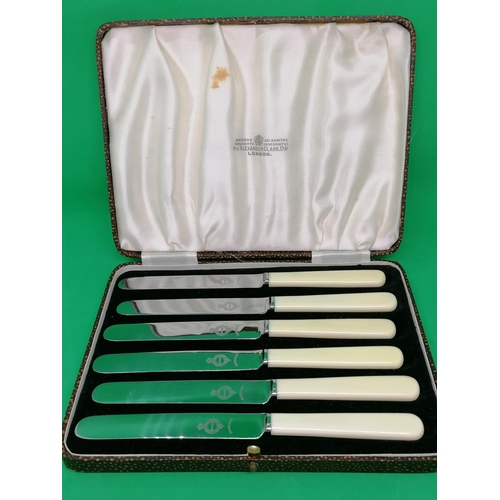 288 - A boxed set of six tea knives with ivorine handles