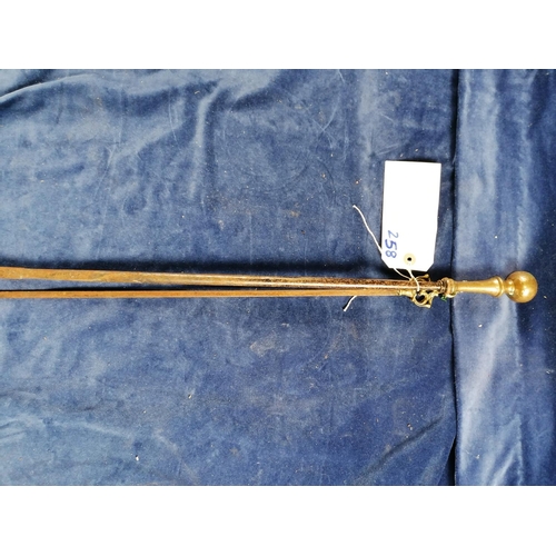 258 - An antique heavy iron fire poker with brass handle, 83cm and a long skewer with brass terminal