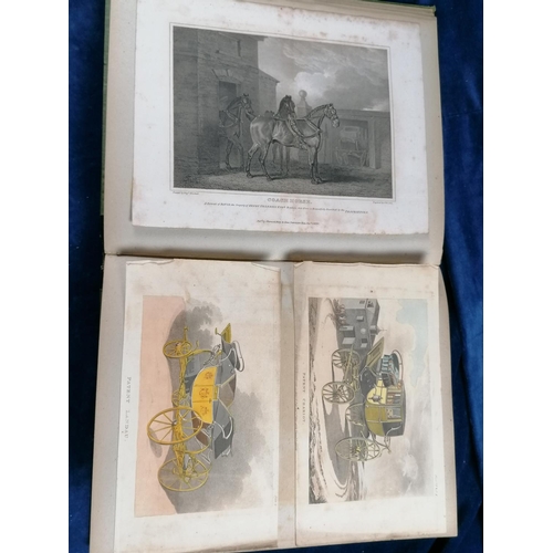 250 - An album containing plates of horses, hounds, hunting etc and a key plate to a painting of the Wynns... 