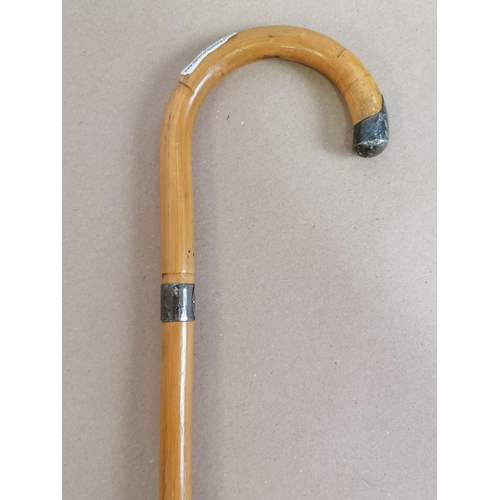 184 - Silver Mounted Walking Stick.