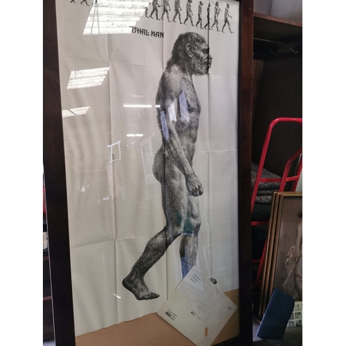 128 - Large framed picture of a neanderthal man (6'6