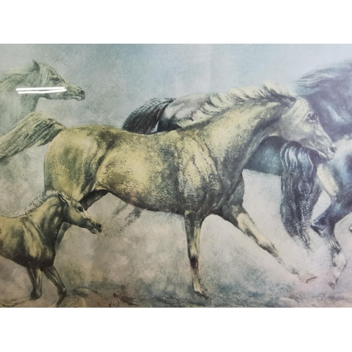 66 - Running horses print. 21.5x16 inches.