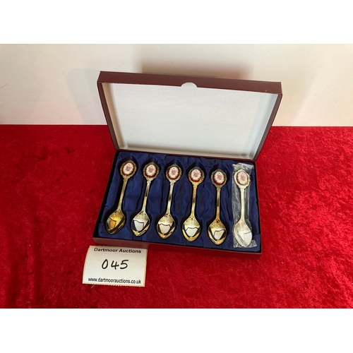 45 - Enamelled Spoon collection, in box