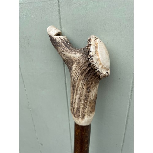 551 - Stag Horn whistle antique thumb stick walking stick. 1 m 31 cm long.