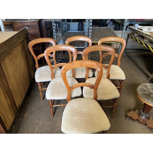 186 - 6 Balloon back chairs reupholstered in v good condition