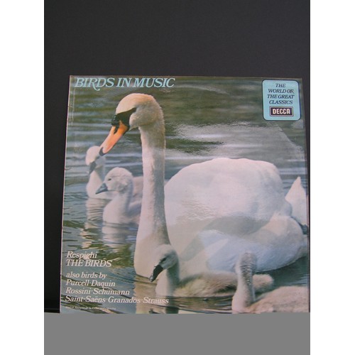 297 - Bird Songs on Vinyls