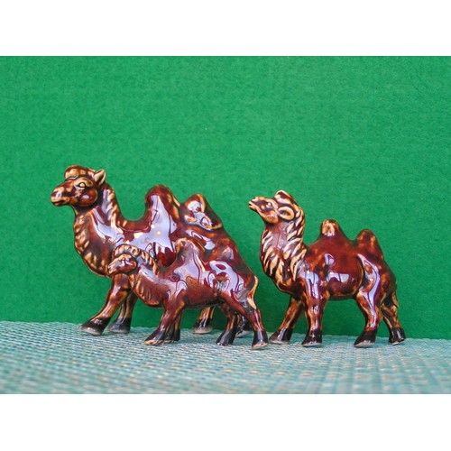 278 - Trio of glazed China Camels ... very collectible