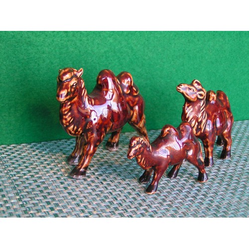 278 - Trio of glazed China Camels ... very collectible