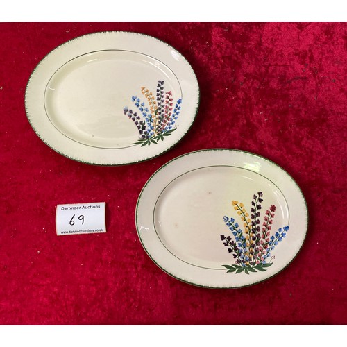 69 - 2 Homeleighware beautifully handpainted plates with floral design