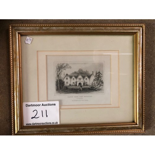 Lot 211       