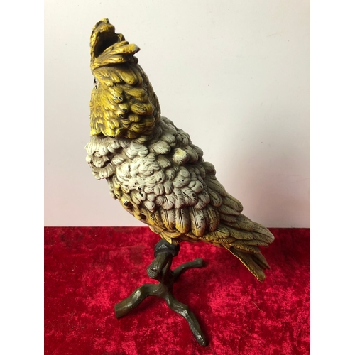 412 - Cold painted bronze Cockatoo parrot stamped 'B' for Bergman, height 15