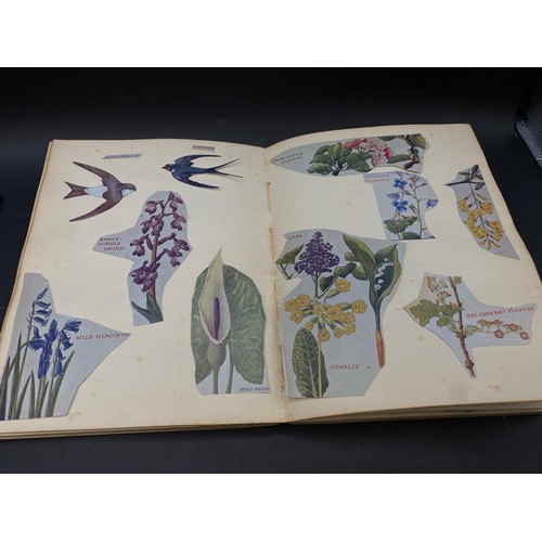 625 - Nature Notebook containing handwritten notes, sketches and cut-outs, dated 1933