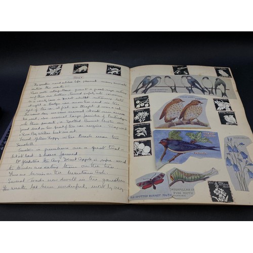 625 - Nature Notebook containing handwritten notes, sketches and cut-outs, dated 1933