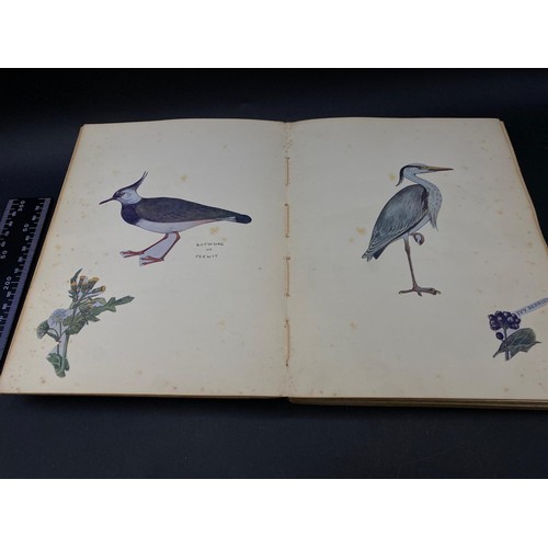 625 - Nature Notebook containing handwritten notes, sketches and cut-outs, dated 1933