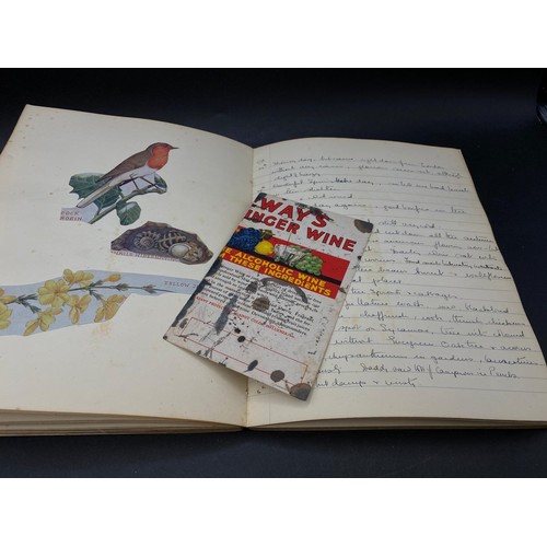 625 - Nature Notebook containing handwritten notes, sketches and cut-outs, dated 1933