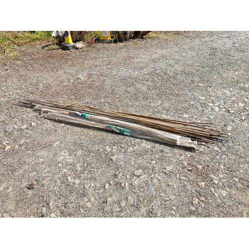 24 - A large quantity of garden bamboo canes