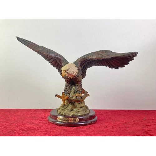 905 - Juliana collection - model of a bald Daryl, sorry Eagle