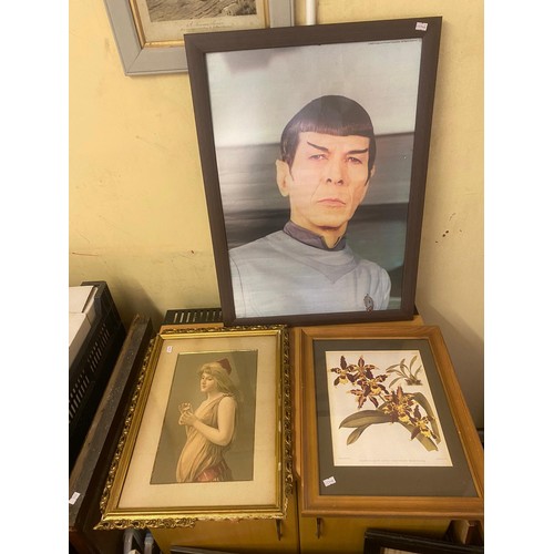 576 - 2 large framed posters and a framed poster of Mr Spock and an ariel village photograph, floral print... 