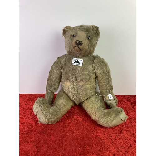 250 - Antique / vintage mohair teddy bear with humped back, shaved muzzle and stitched nose, kapok stuffed... 