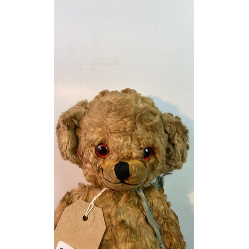 Merrythought Cheeky Raspberry Ripple 限定版