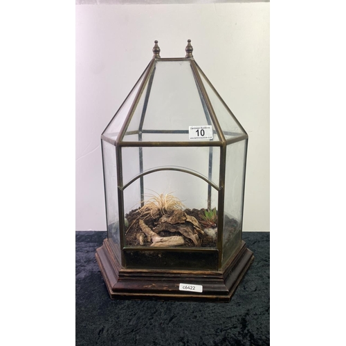 10 - Terrarium on wooden base with contents, a really lovely example, approx 48cm tall