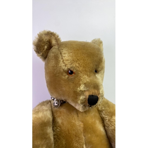 36 - Fabulous vintage articulated teddy bear with articulated limbs, shaved muzzle and stitched nose, no ... 