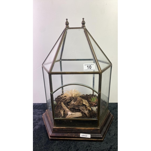 10 - Terrarium on wooden base with contents, a really lovely example, approx 48cm tall