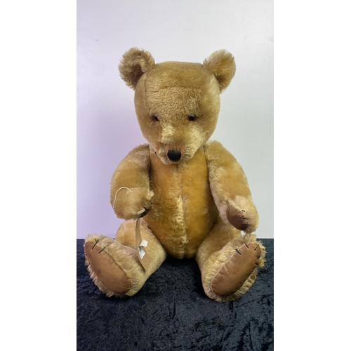 36 - Fabulous vintage articulated teddy bear with articulated limbs, shaved muzzle and stitched nose, no ... 