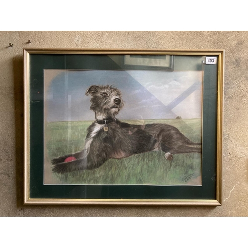 403 - Framed pastel of a lurcher.Signed C Simon. Measures approx 57cm x 73cm