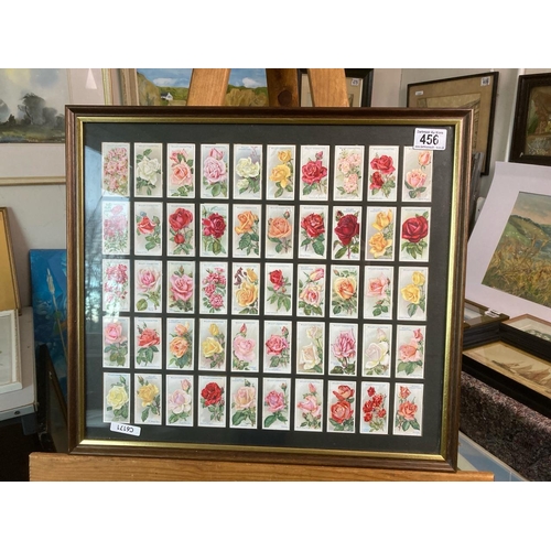 456 - Framed and glazed set of Wills cigarette cards from 1926 depicting roses. Measures approx 45cm x 50c... 