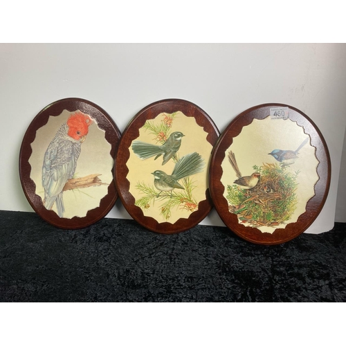 460 - Three Australian pictures on plaques depicting birds. Approx 30cm x 25cm